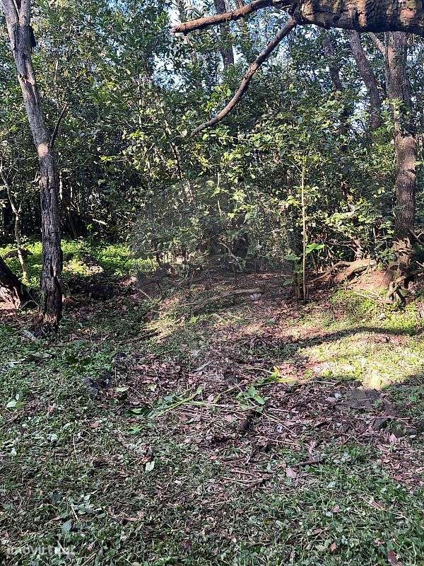 Terreno  para venda - Grande imagem: 5/7