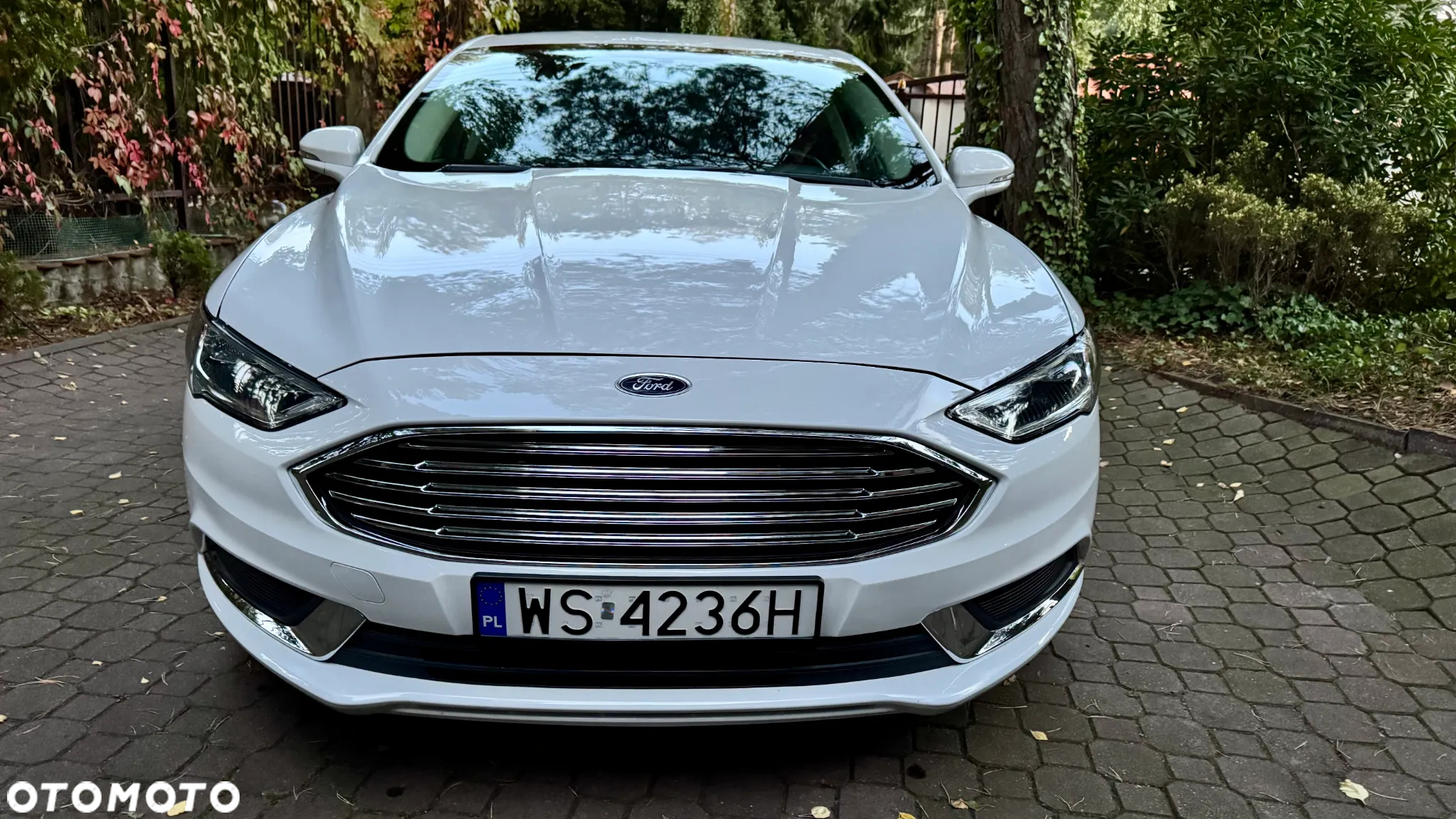 Ford Fusion - 17