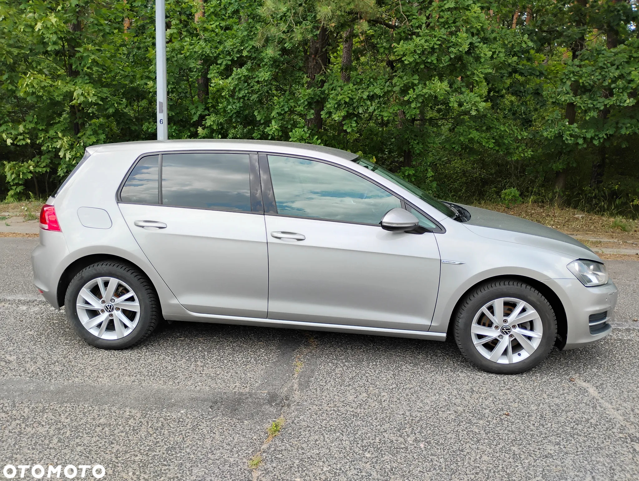 Volkswagen Golf - 5