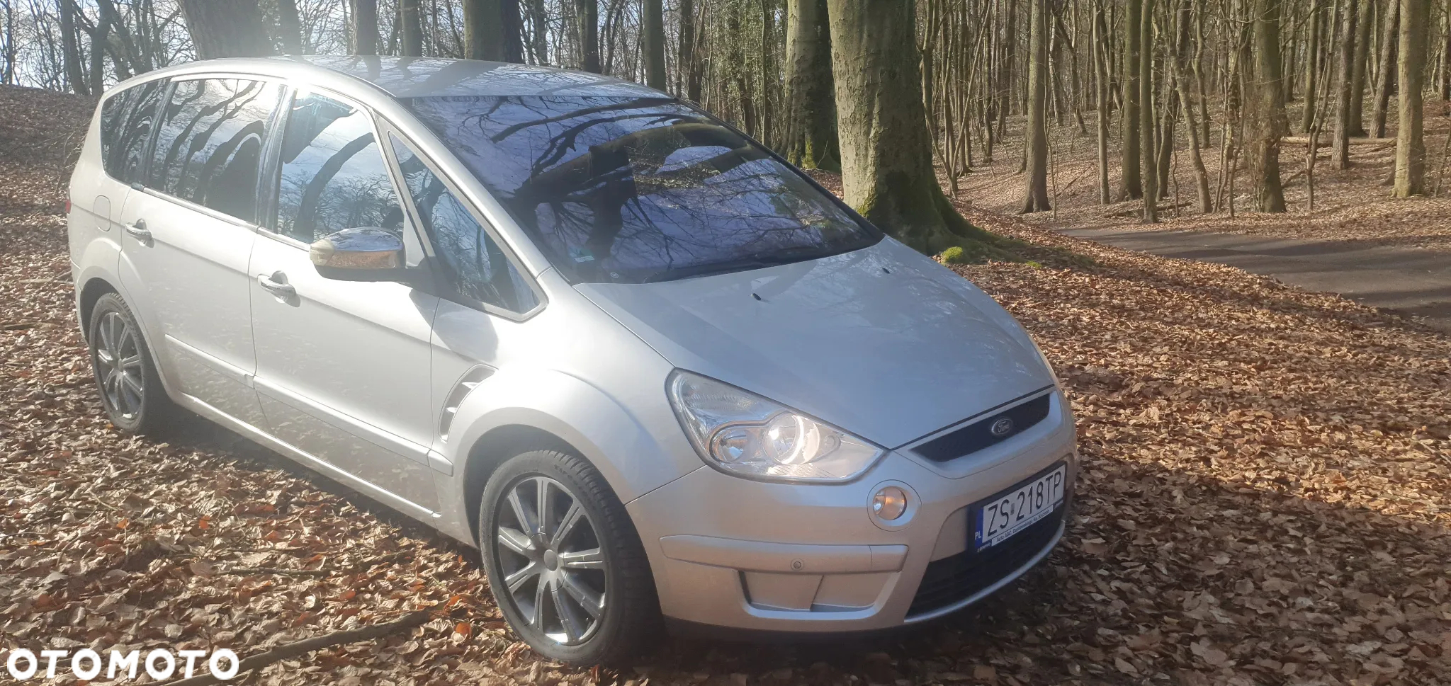 Ford S-Max 2.2 TDCi DPF Silver Magic - 13