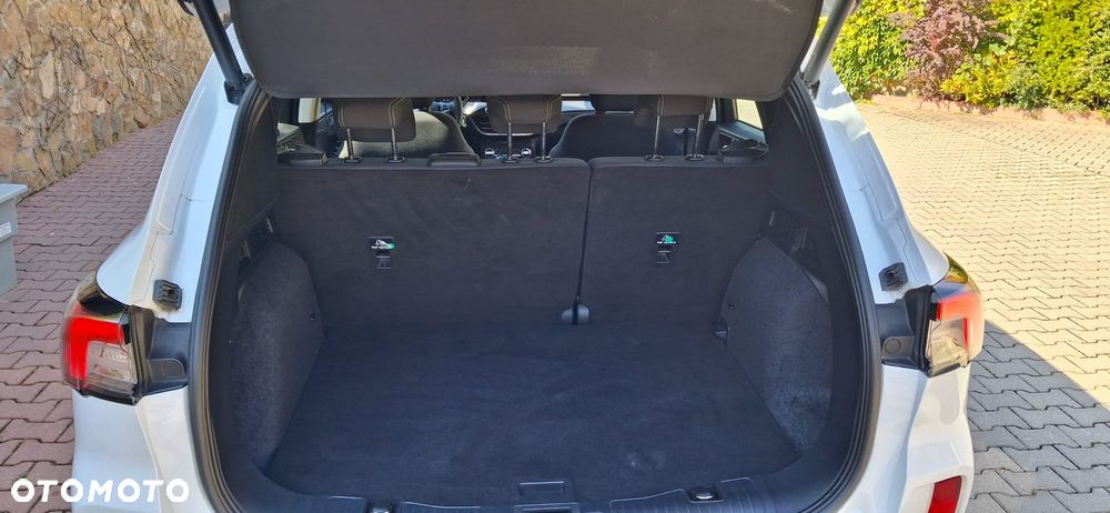Ford Kuga 2.0 EcoBlue mHEV FWD Titanium - 10