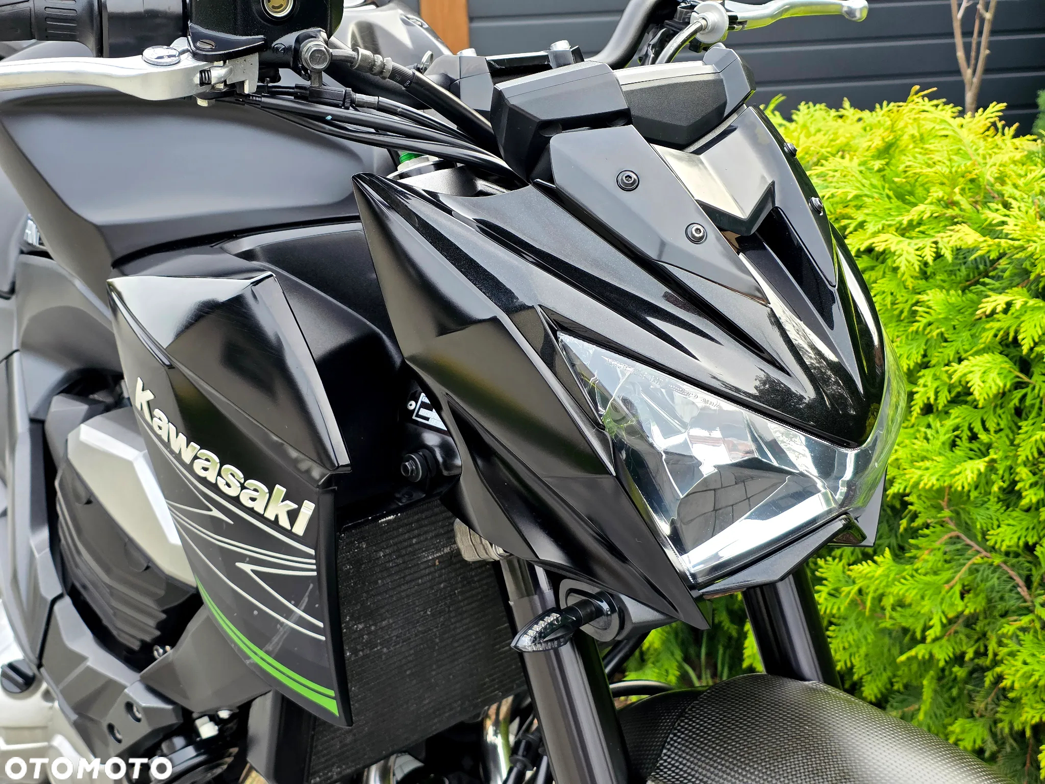 Kawasaki Z - 12