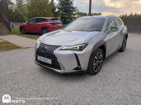 Lexus UX 300h Business