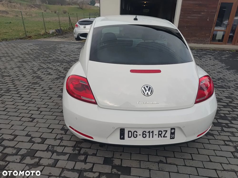 Volkswagen Beetle - 15