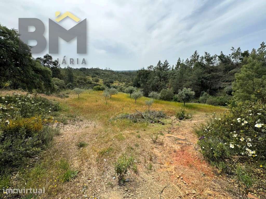 Terreno rústico com 13.640 m² para venda, localizado nas proximidad... - Grande imagem: 4/12
