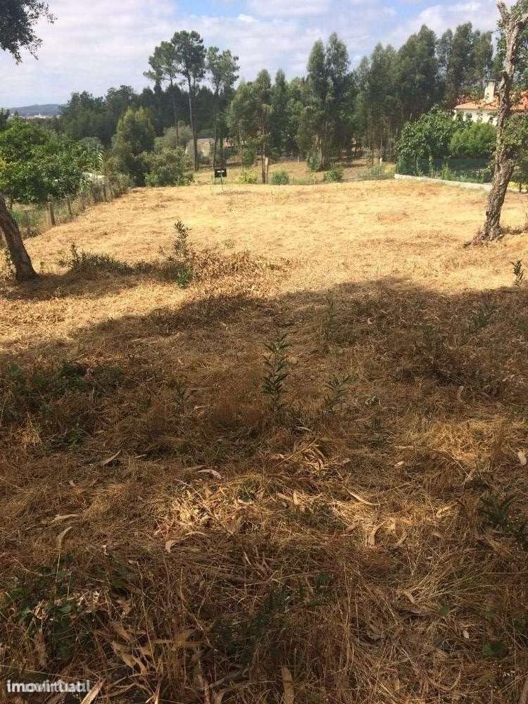 Terreno Marrazes / Leiria - Grande imagem: 4/5