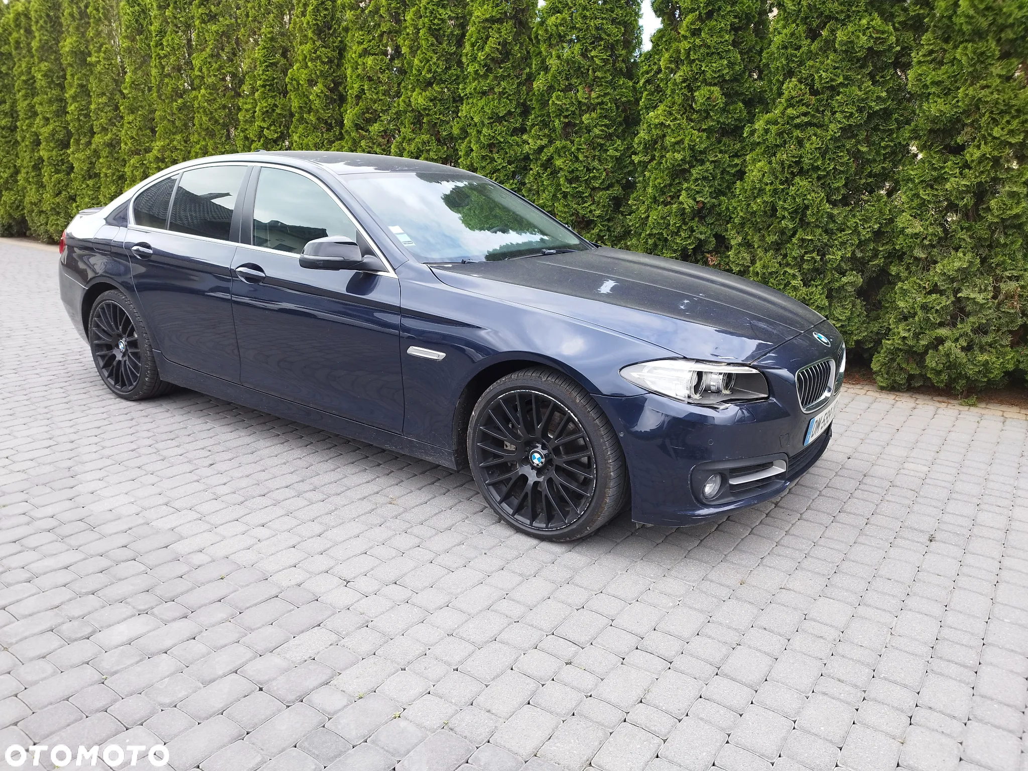 BMW Seria 5 530d xDrive Luxury Line - 8