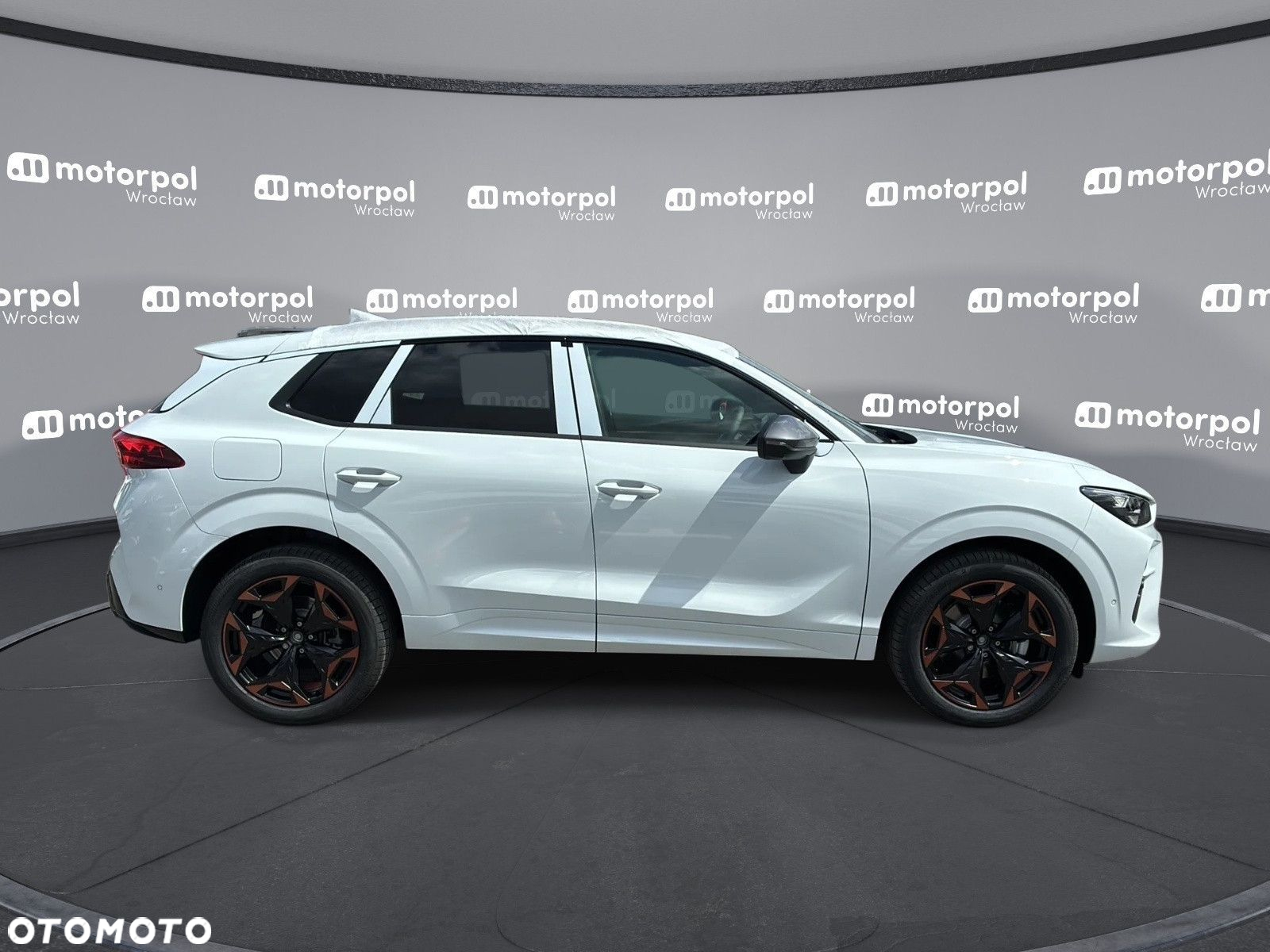 Cupra Terramar - 11