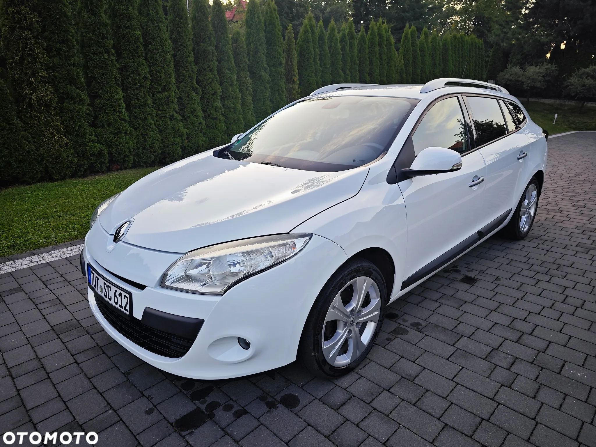 Renault Megane 1.6 16V Color Edition - 12