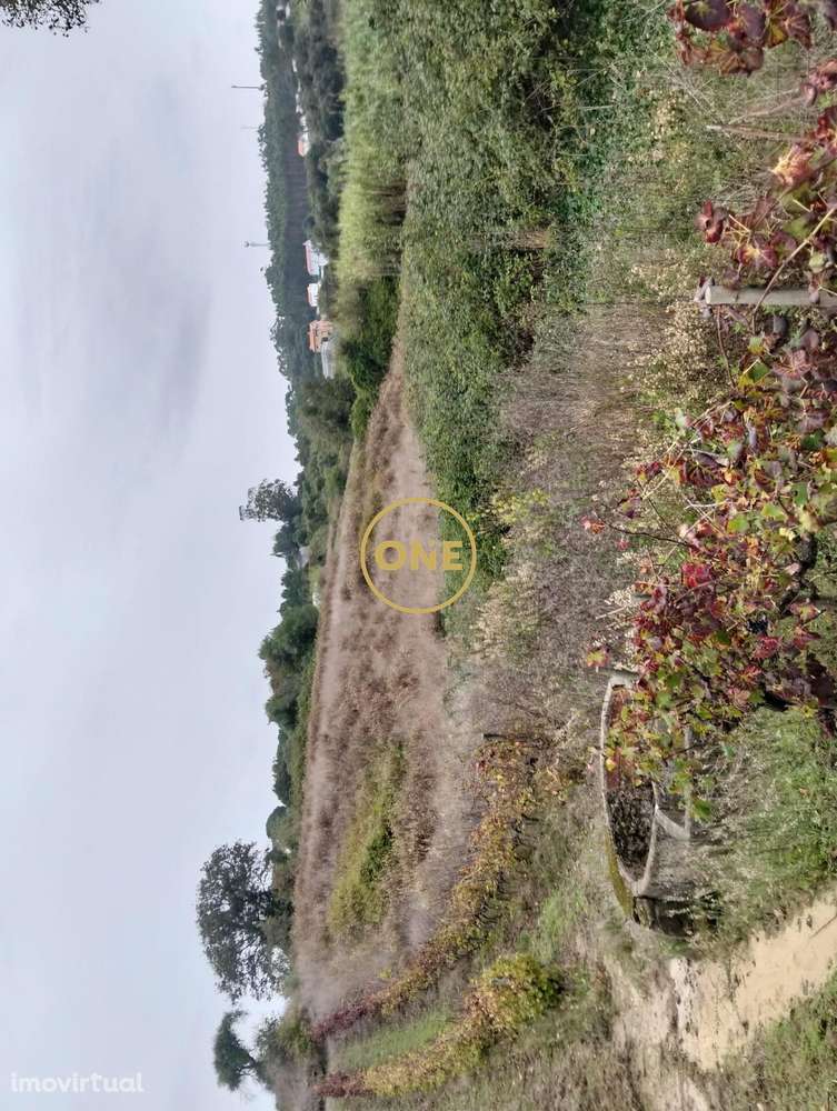 Terreno Rústico com 3312 m2 - Sobral da Abelheira e Azueira - Grande imagem: 3/10