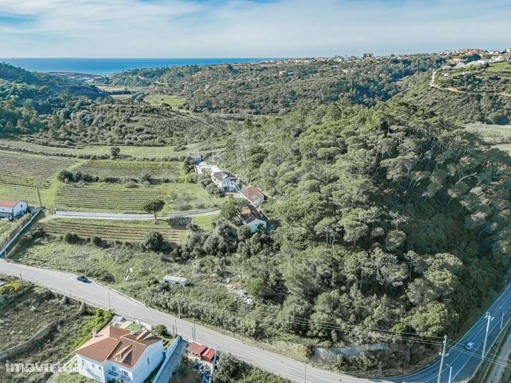 Vende Terreno - Ericeira 4 Km, A Casa das Casas - Grande imagem: 4/16