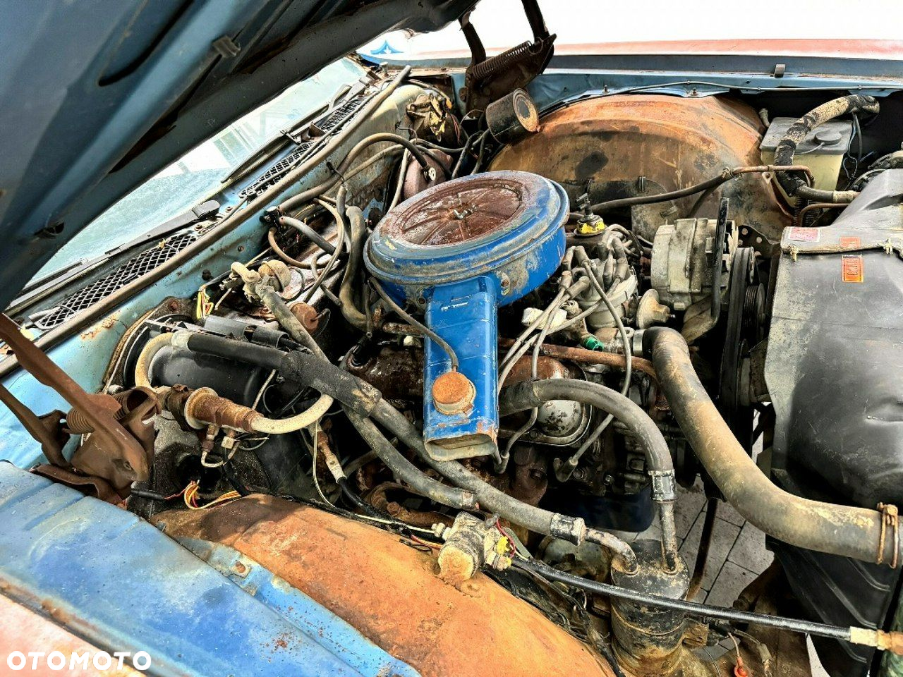 Ford Inny - 37