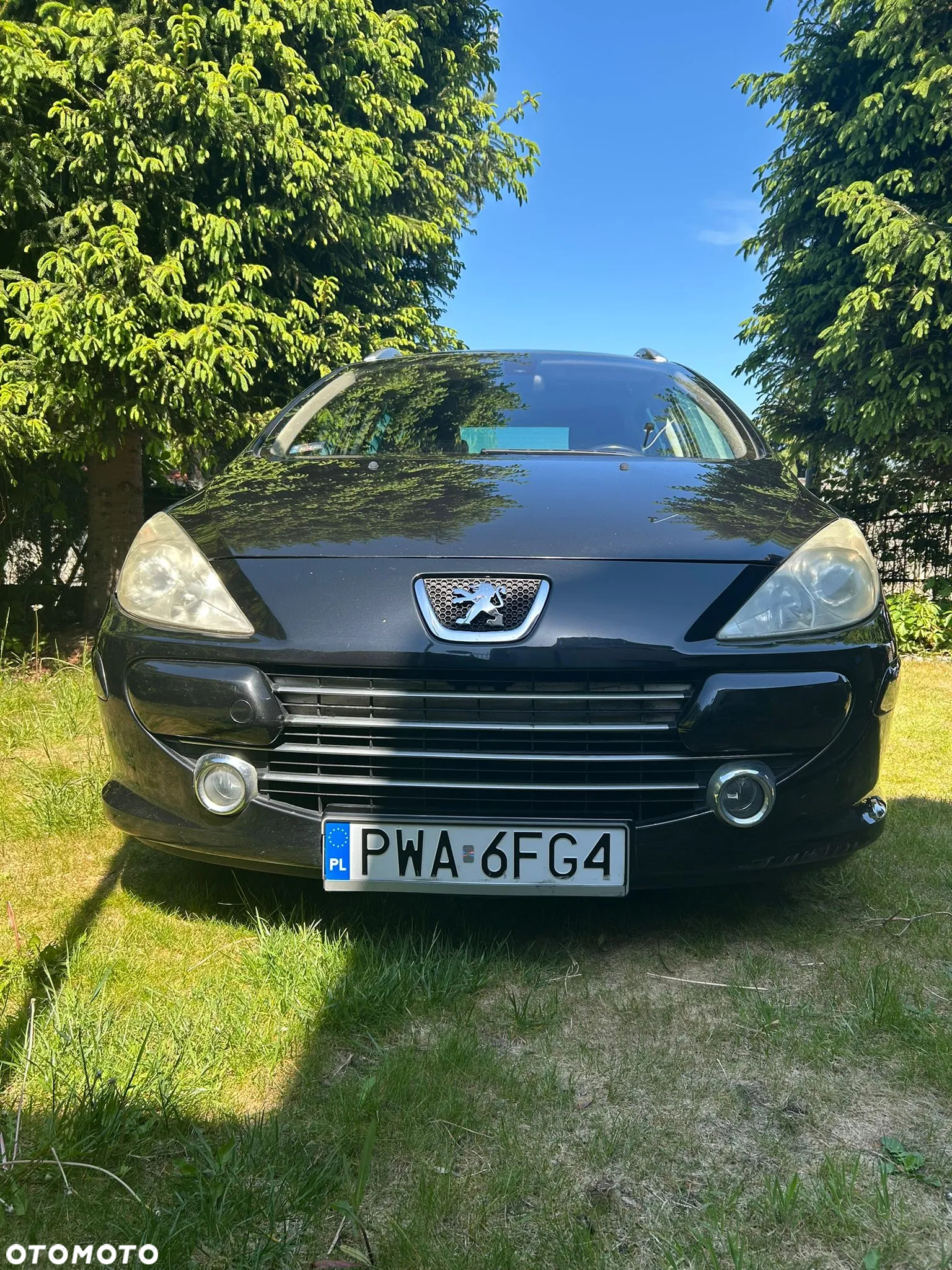 Peugeot 307 - 6