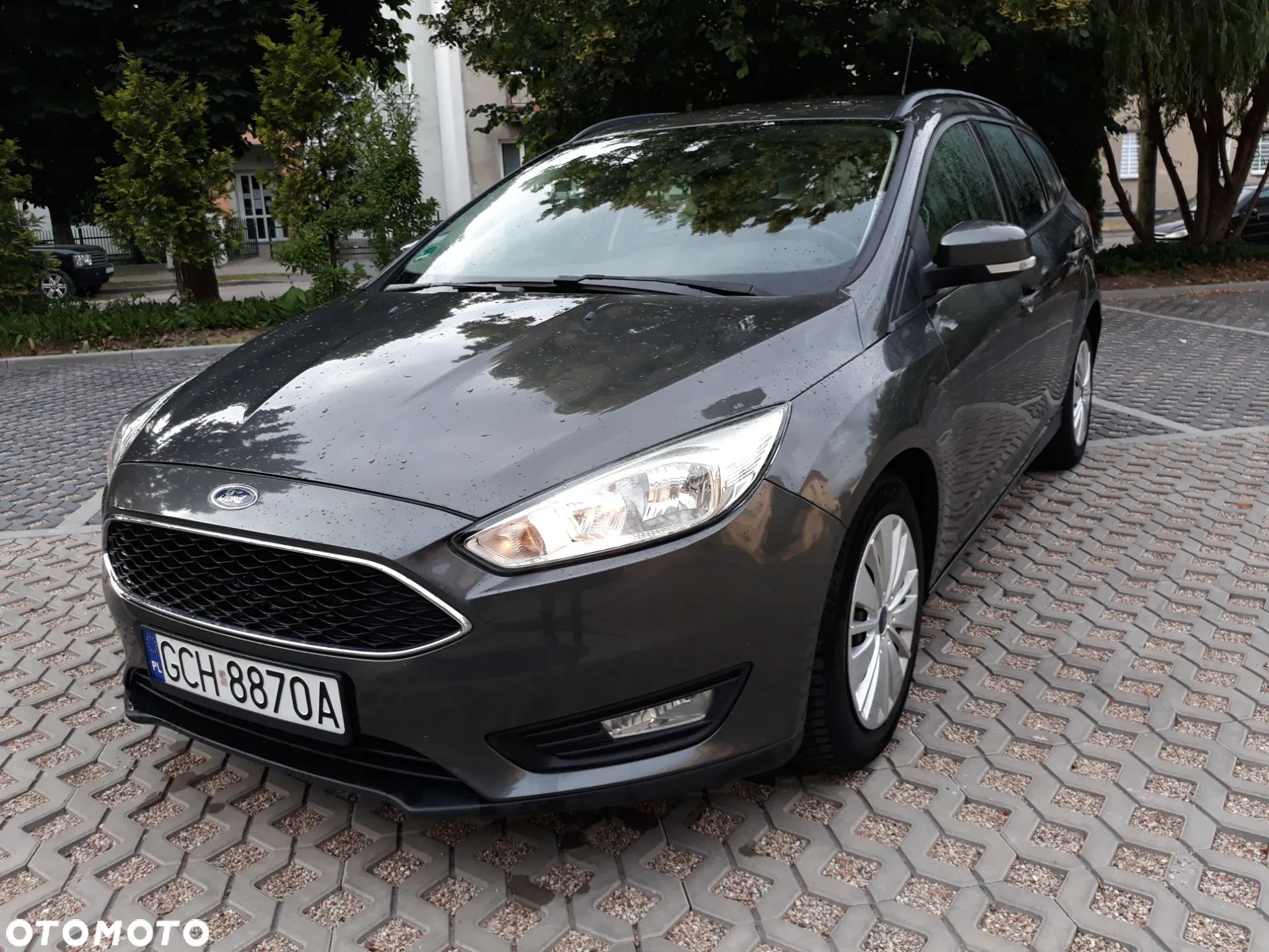 Ford Focus - 1
