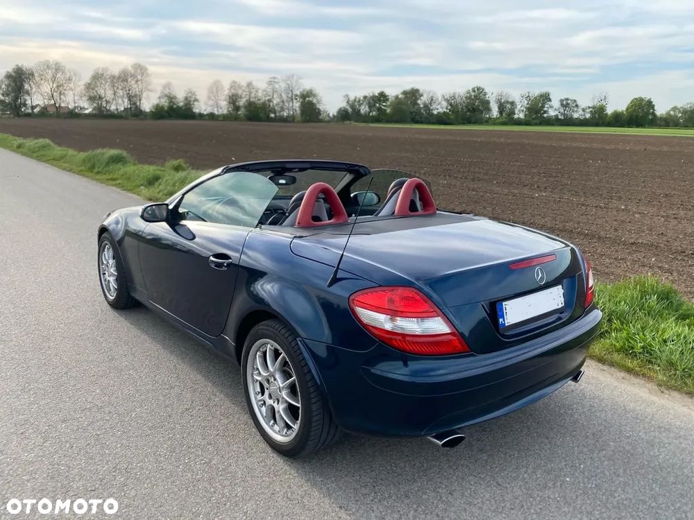 Mercedes-Benz Slk 2005 photo 5