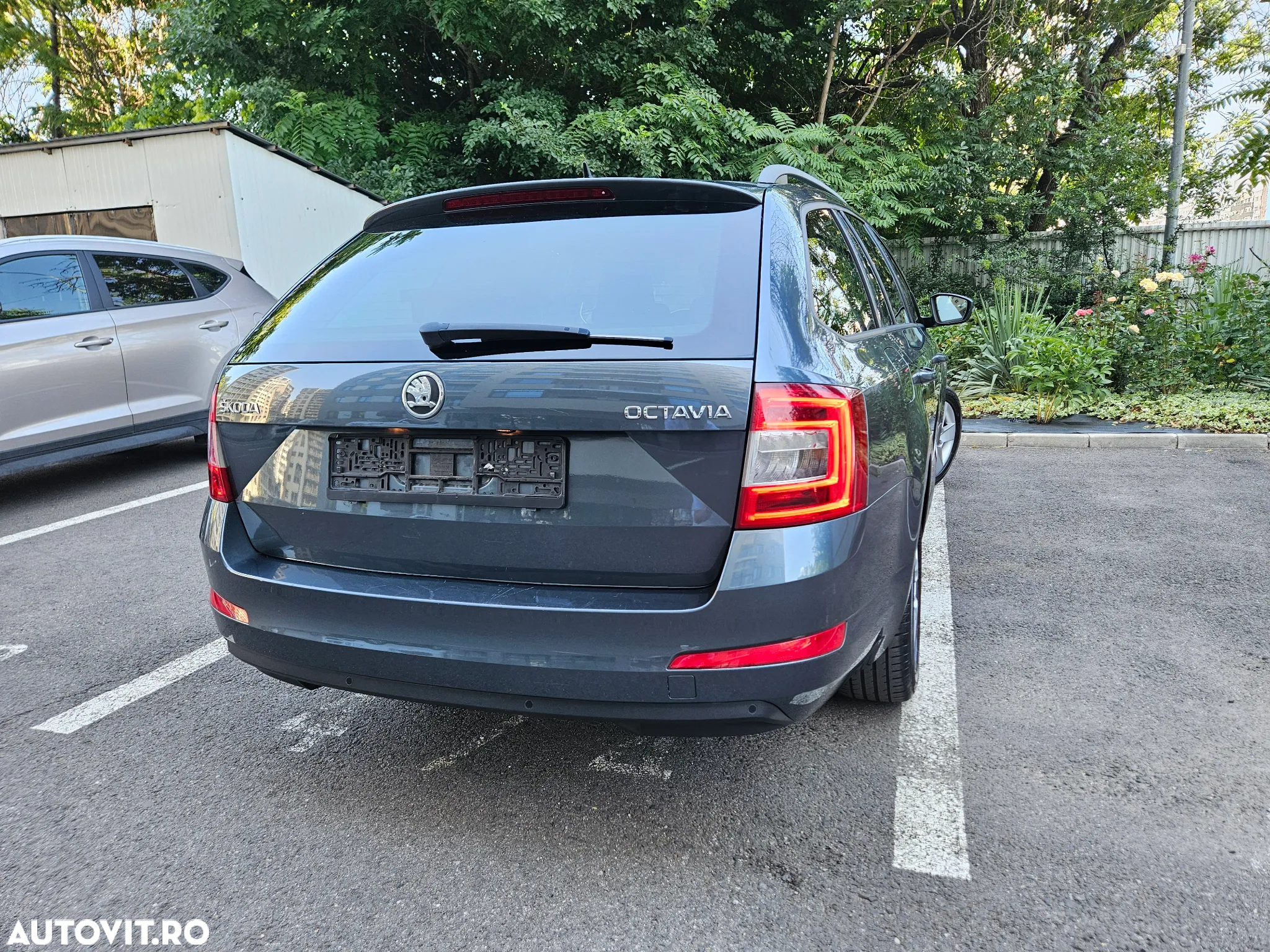 Skoda Octavia 1.6 TDI AMBITION - 16