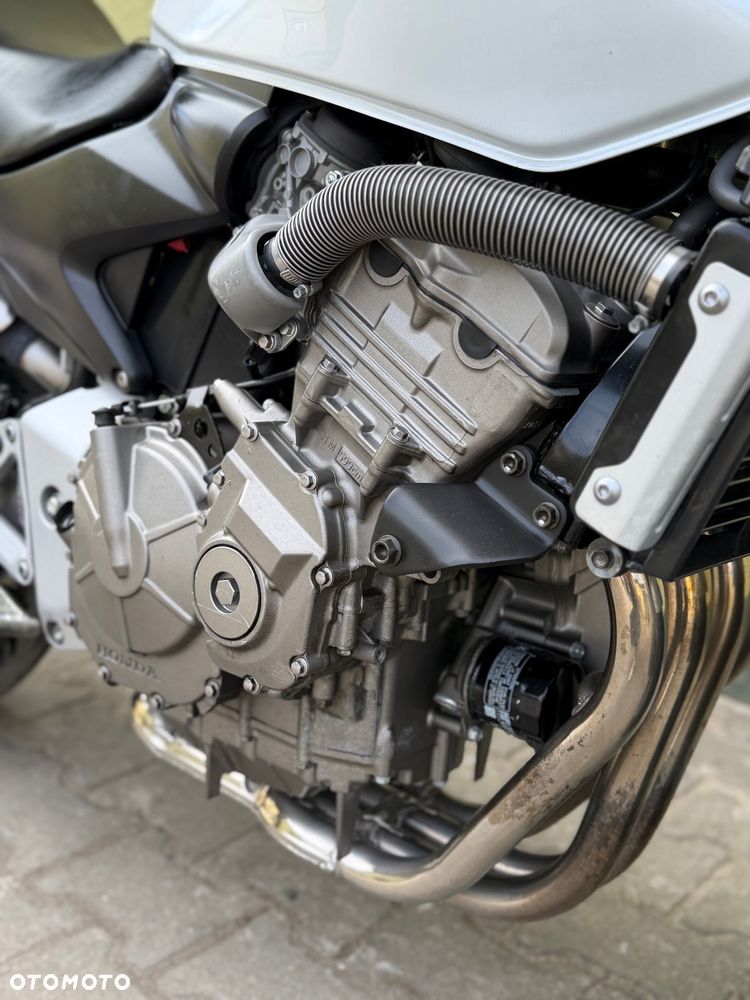 Honda Hornet - 5
