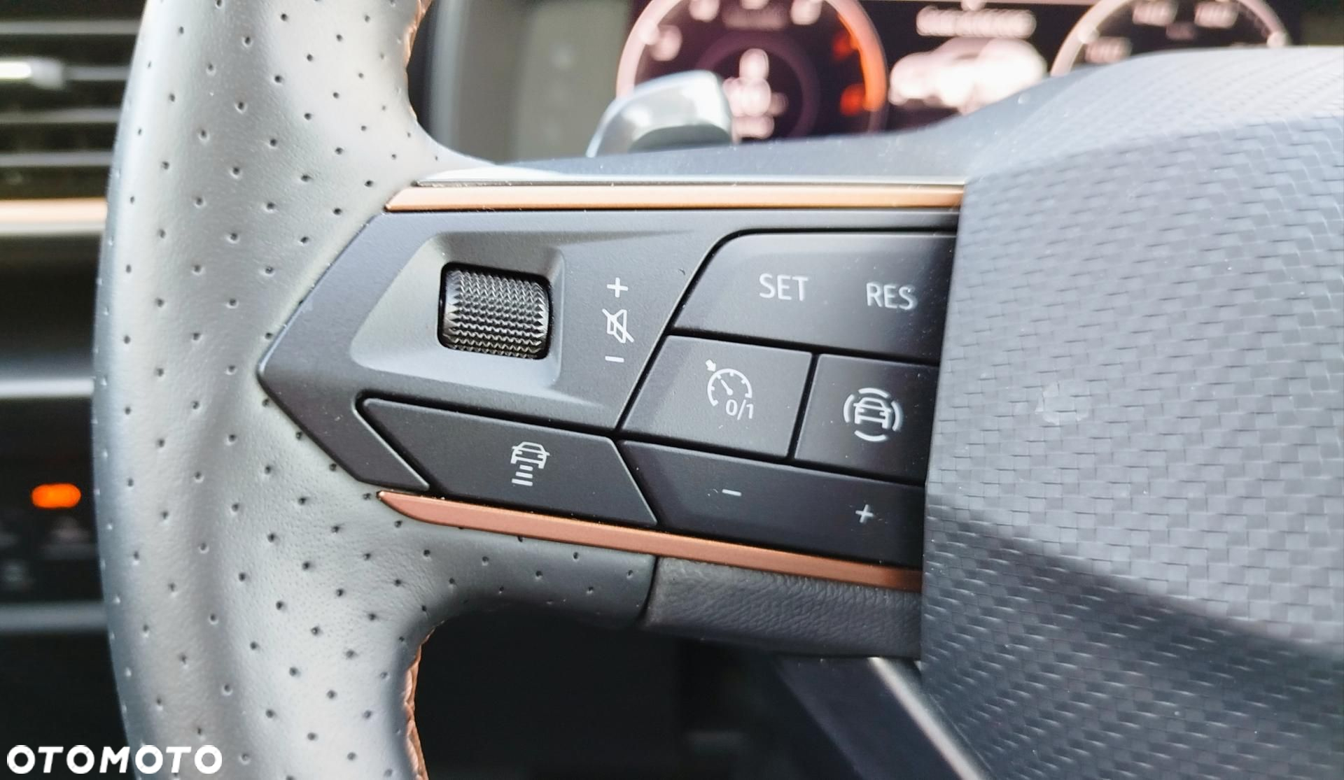 Cupra Formentor 1.5 TSI DSG - 17