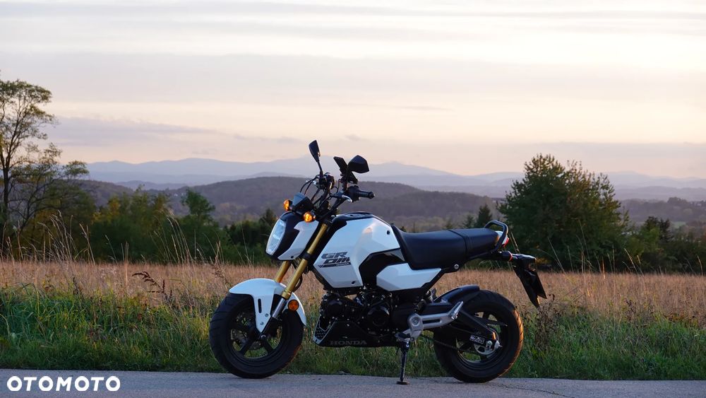 Honda MSX 125 - 5
