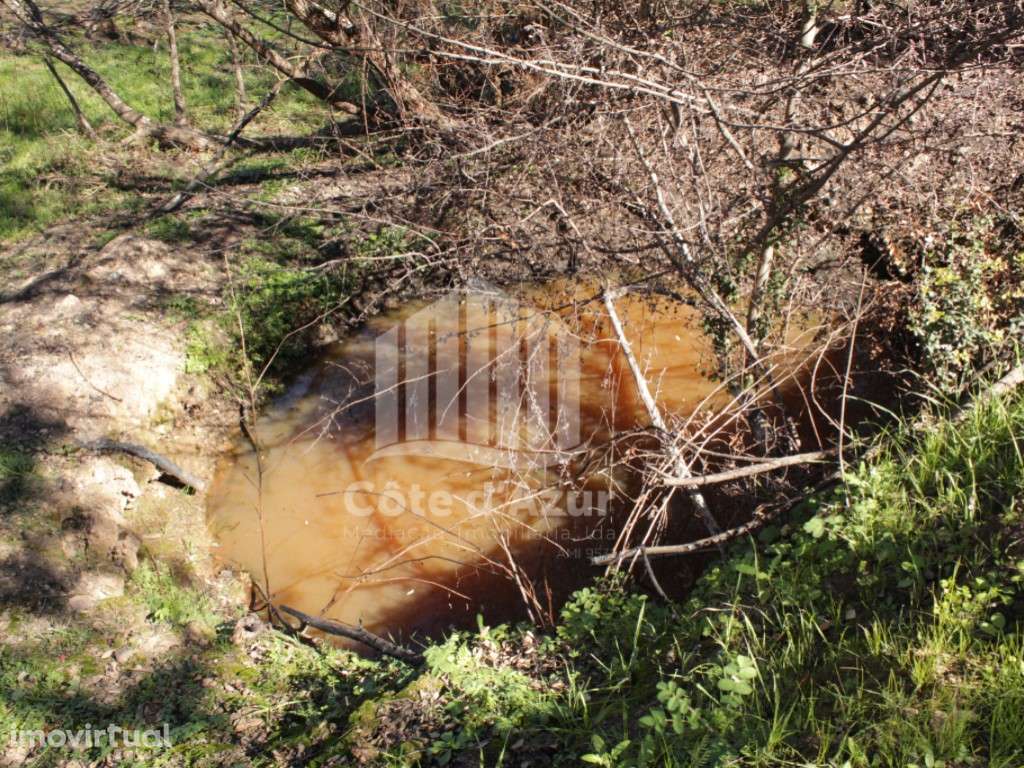 Terreno com 11 hectares - Odemira - Grande imagem: 3/26