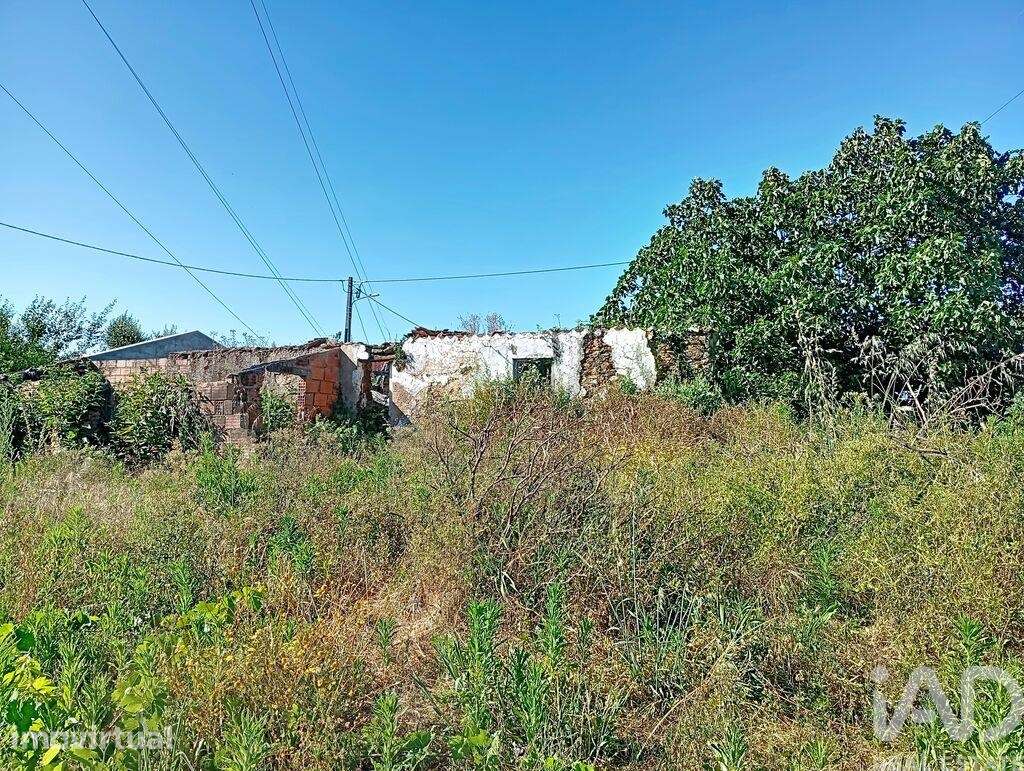 Moradia térrea em Ferreira do Zêzere - Grande imagem: 2/18