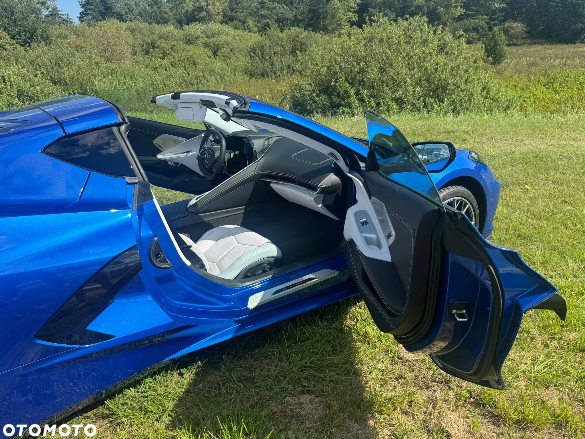 Chevrolet Corvette - 13