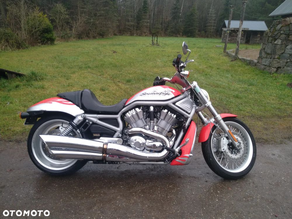 Harley-Davidson Softail V-Rod - 1