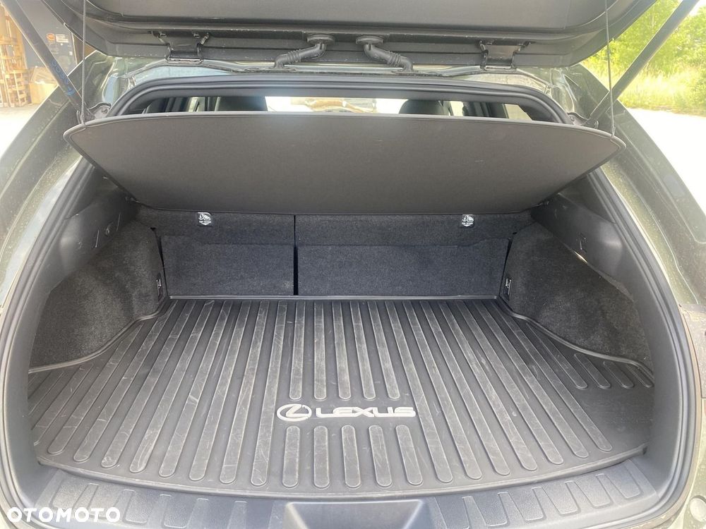 Lexus UX 300h Business - 20