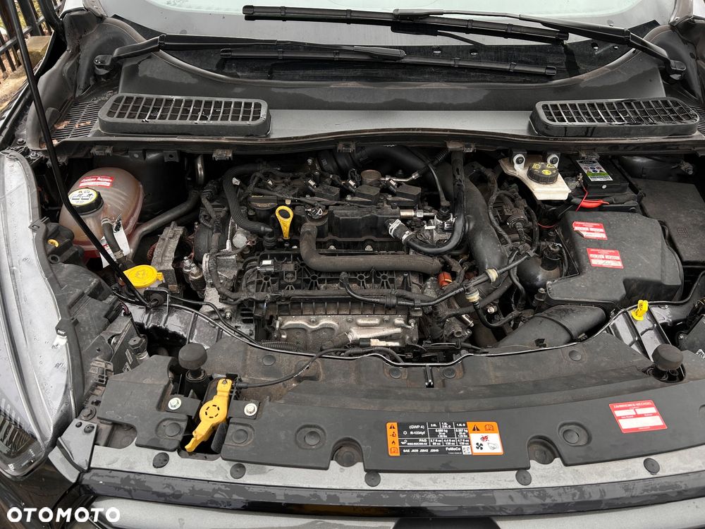 Ford Kuga 1.5 EcoBoost 2x4 Titanium - 2