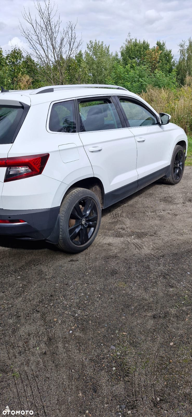 Skoda Karoq 1.6 TDI 4x2 Ambition DSG - 4