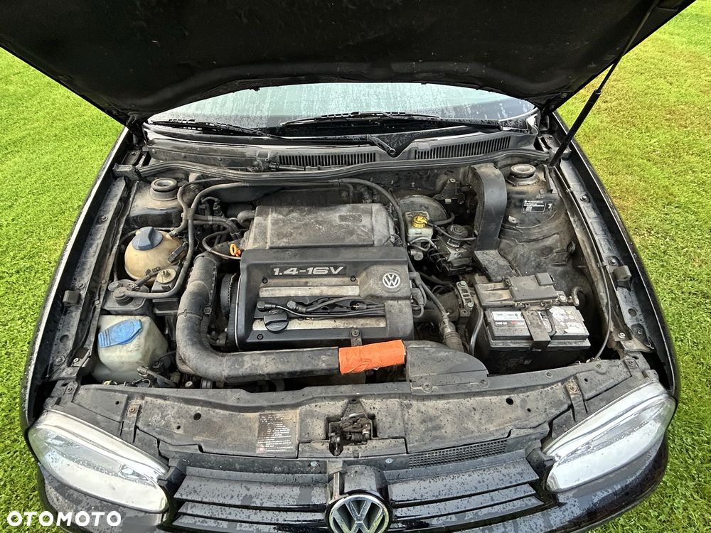 Volkswagen Golf - 7
