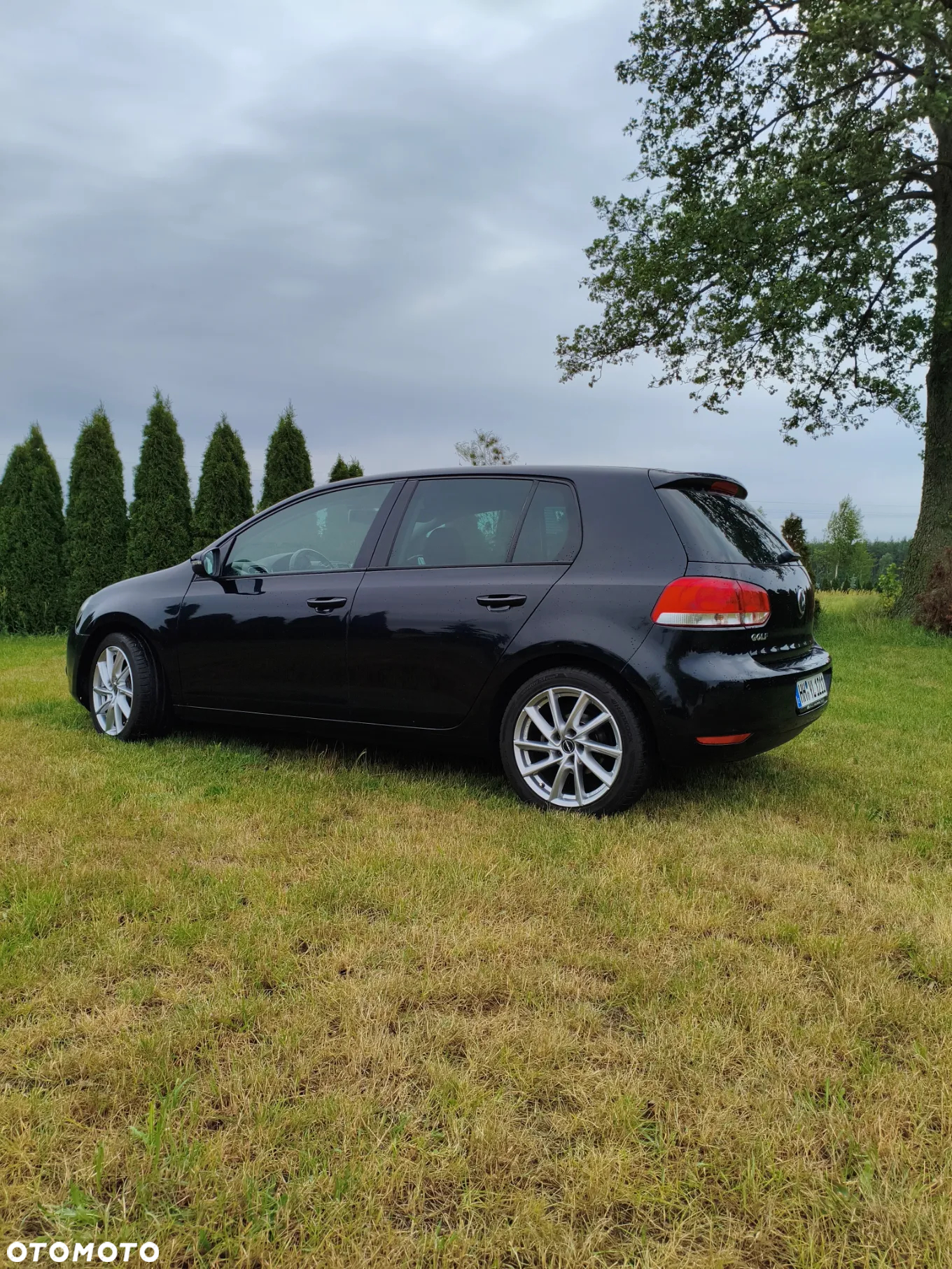 Volkswagen Golf - 30
