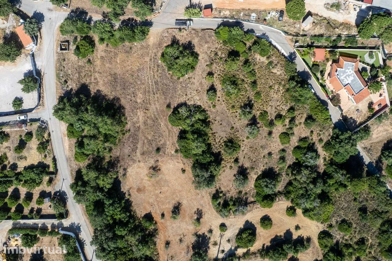 Terreno Rústico| Almancil| Loulé | Luz, Eletricidade e Água| 6938m2 - Grande imagem: 5/17