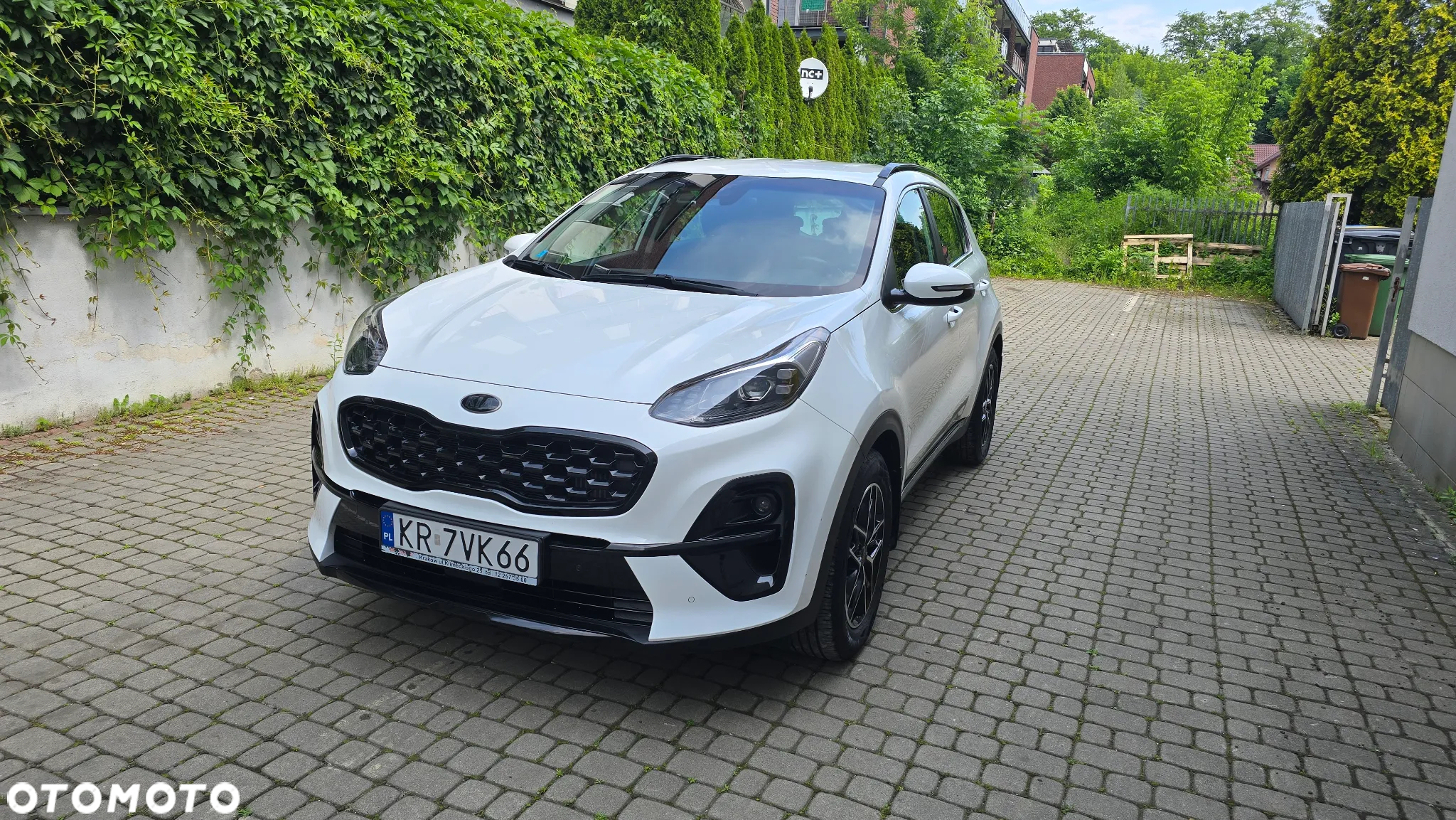 Kia Sportage 1.6 T-GDI Black Edition Plus 4WD DCT - 2