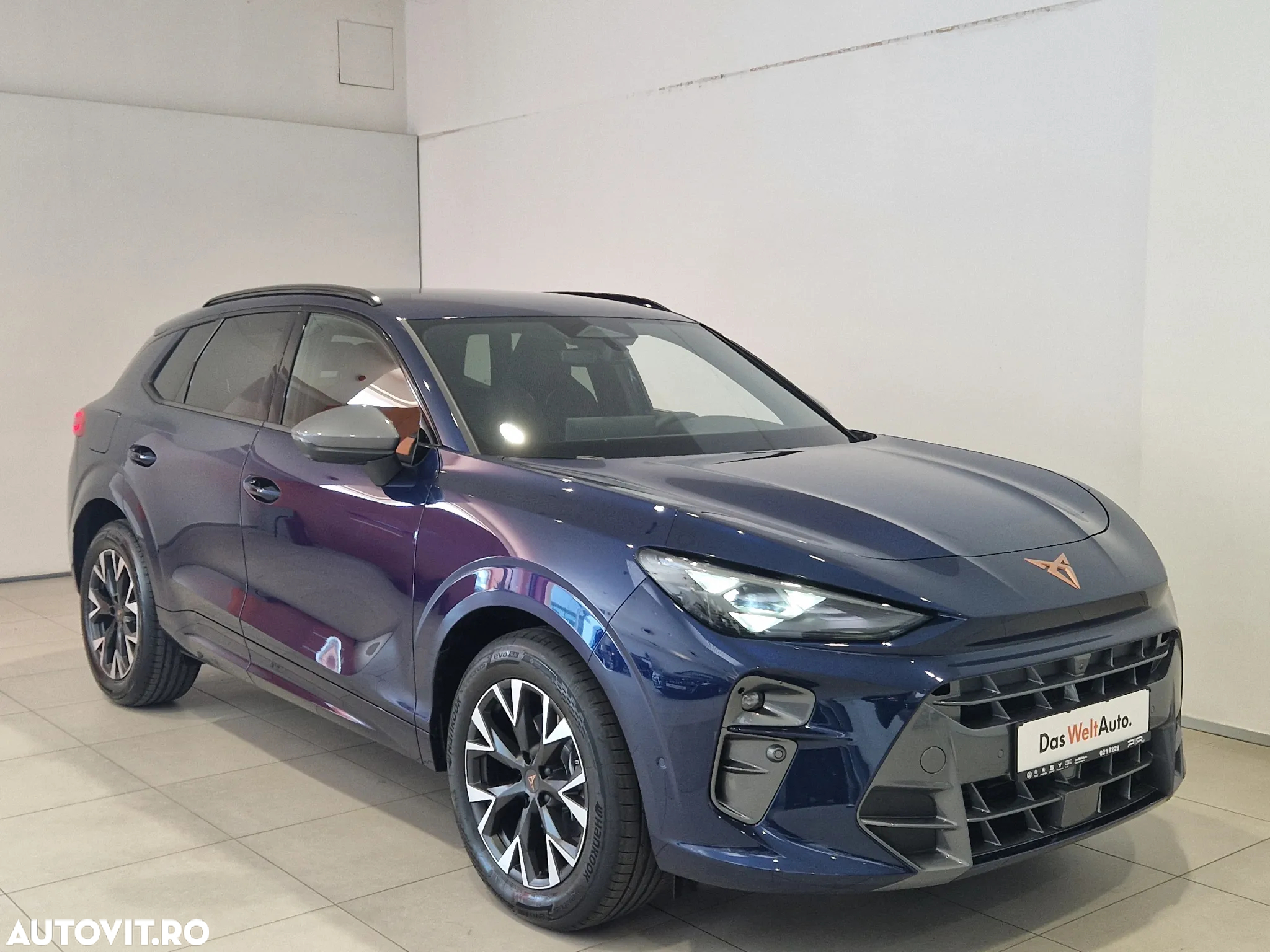 Cupra Terramar - 5