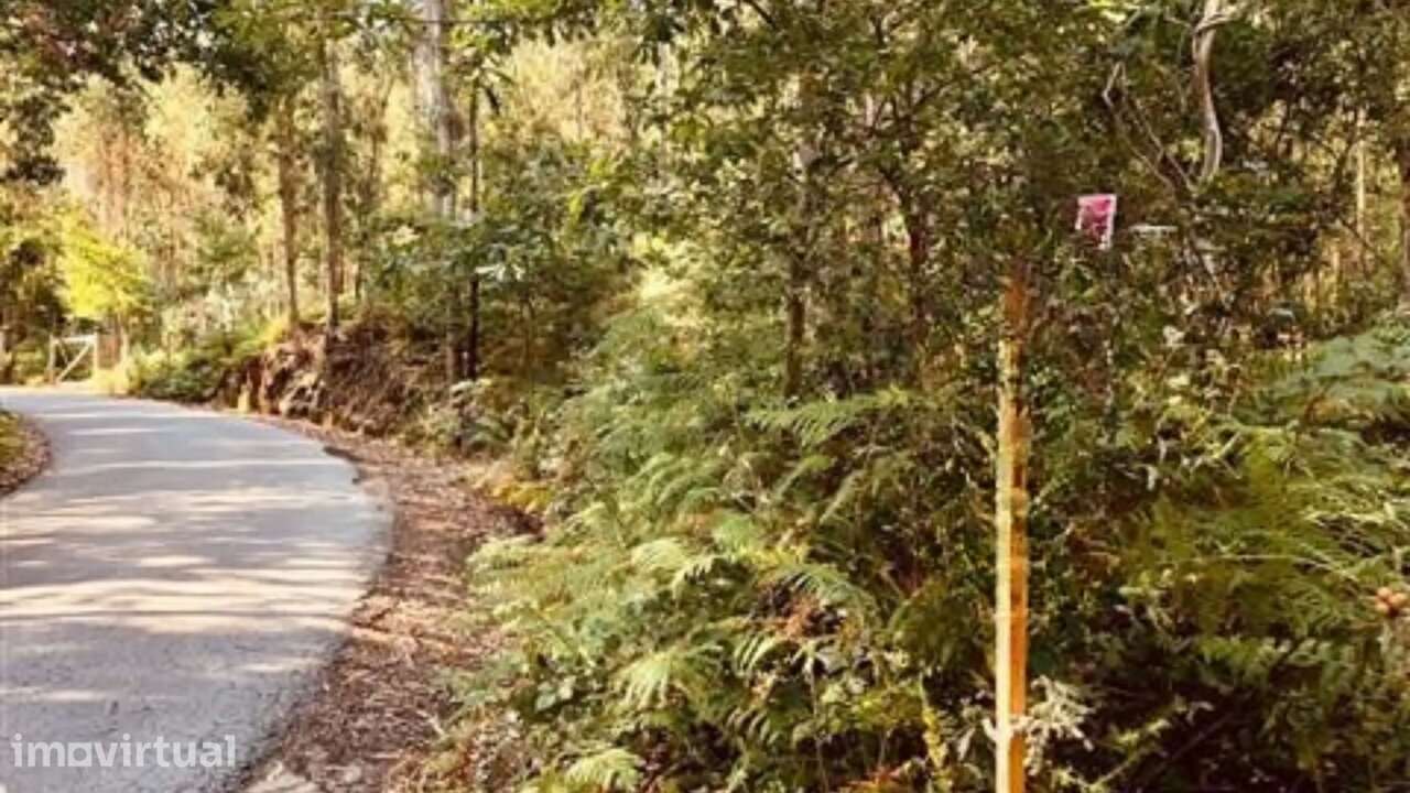 Terreno Florestal em Romariz, Santa Maria da Feira - Grande imagem: 3/4