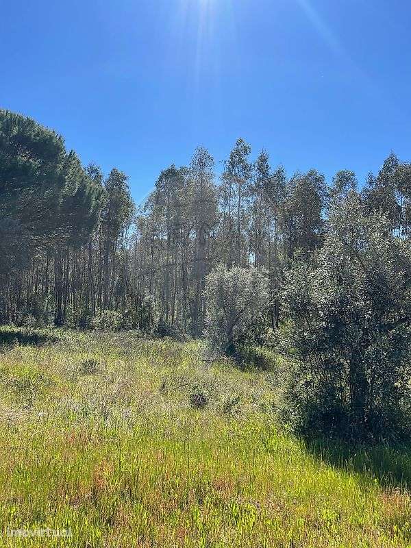 Terreno  para venda - Grande imagem: 5/11