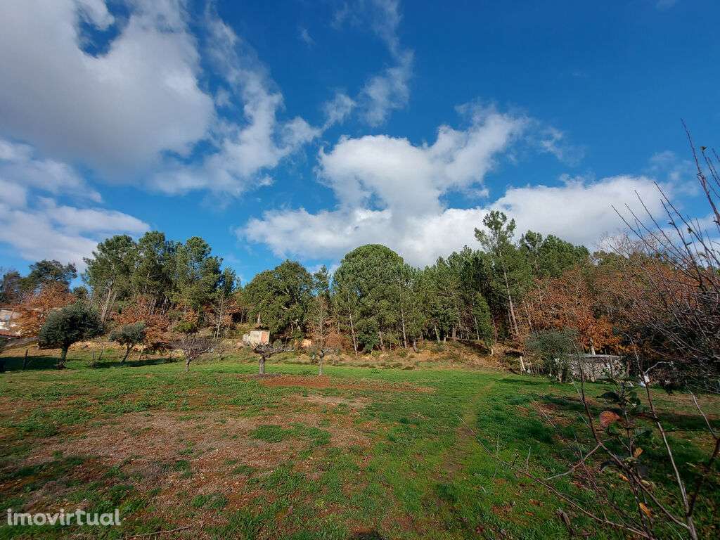Terreno em Côja para construção - Grande imagem: 3/7