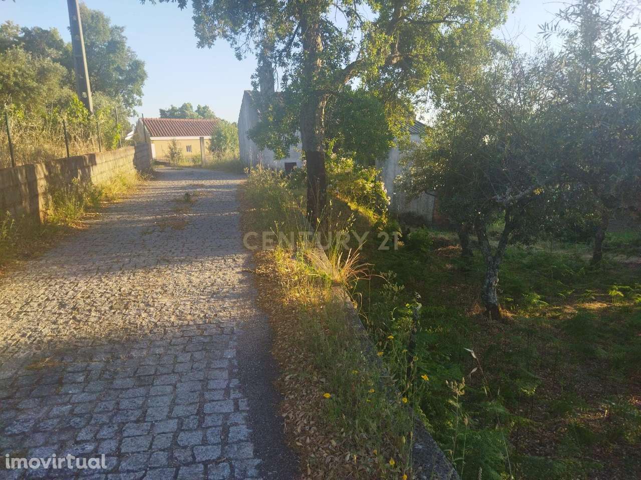 Terreno rústico | São Vicente da Beira, Castelo Branco - Grande imagem: 5/15