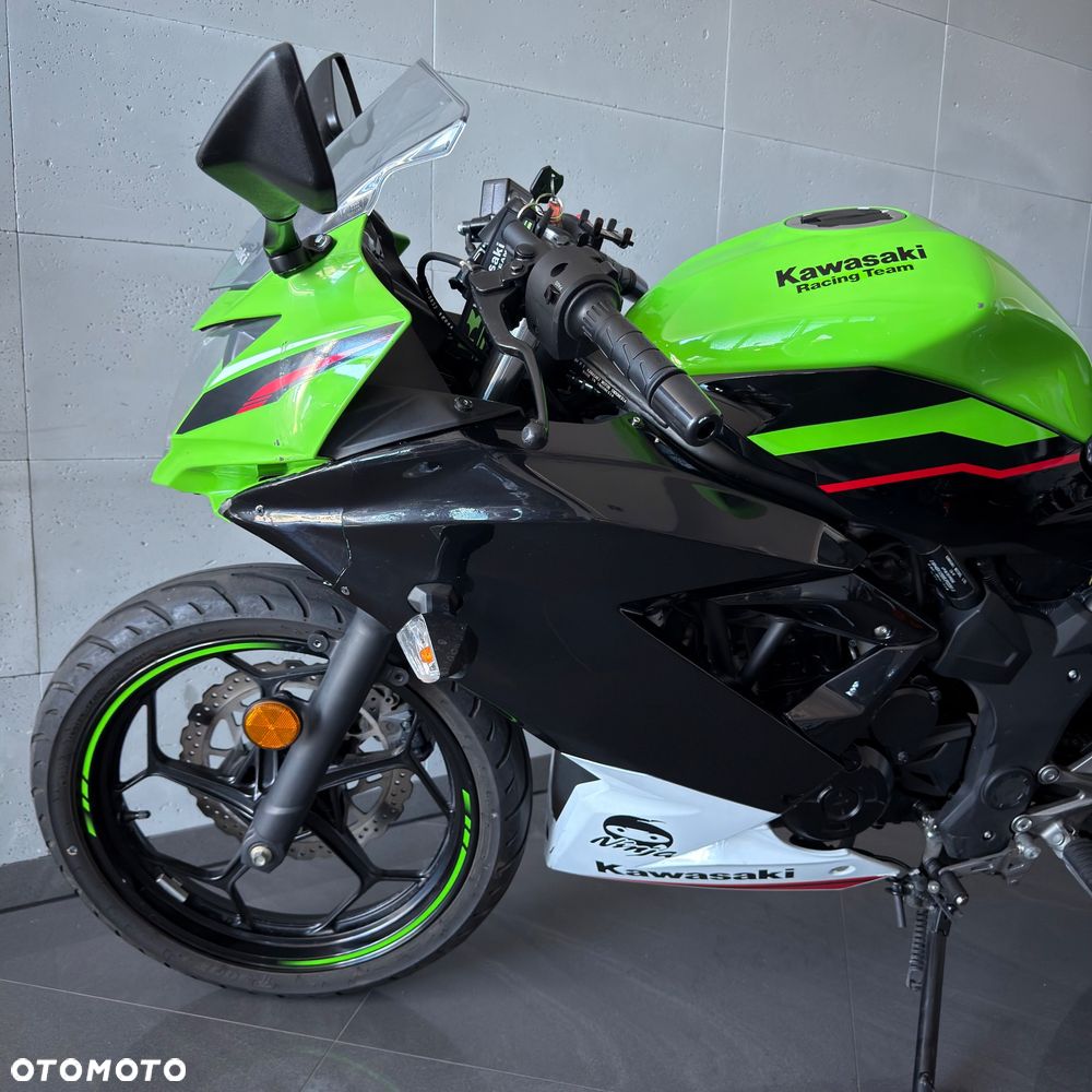 Kawasaki Ninja - 10