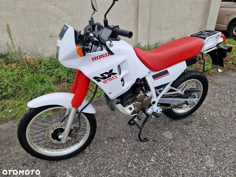 Honda NX - 19