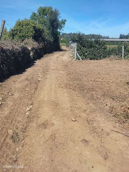 Alugo terreno bom - Grande imagem: 3/12