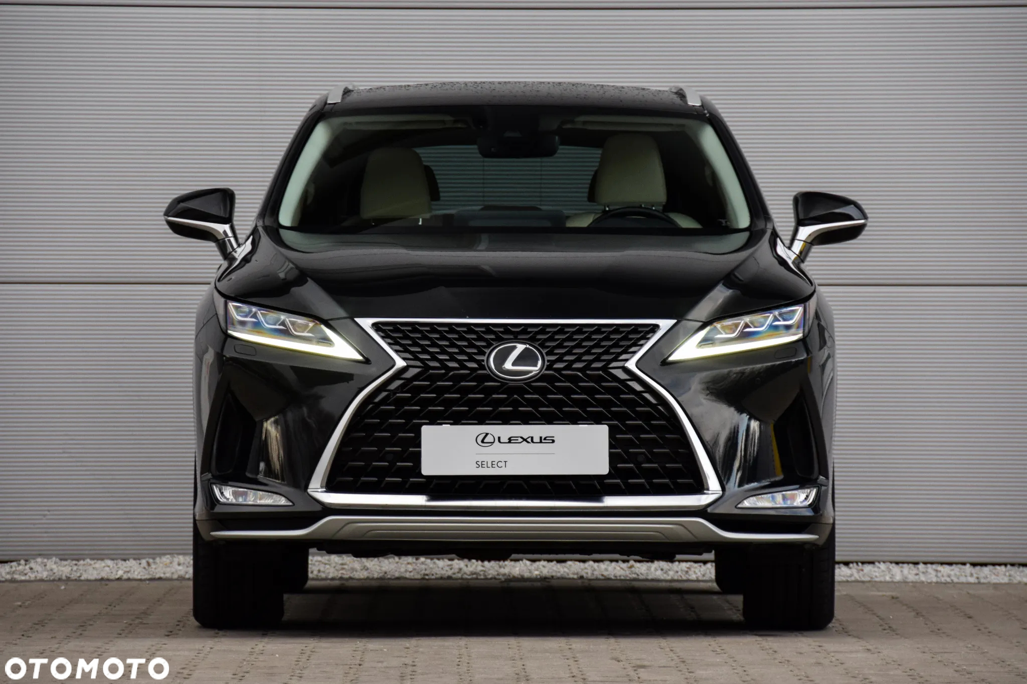 Lexus RX 300 Business Edition + - 12