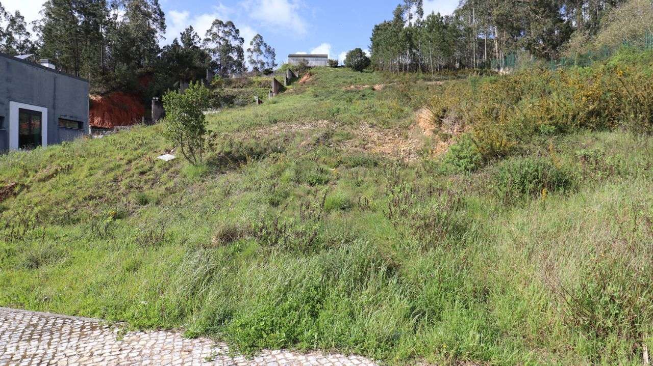 Terreno de 1379m2 com área de construção de 300m2 - Grande imagem: 4/11