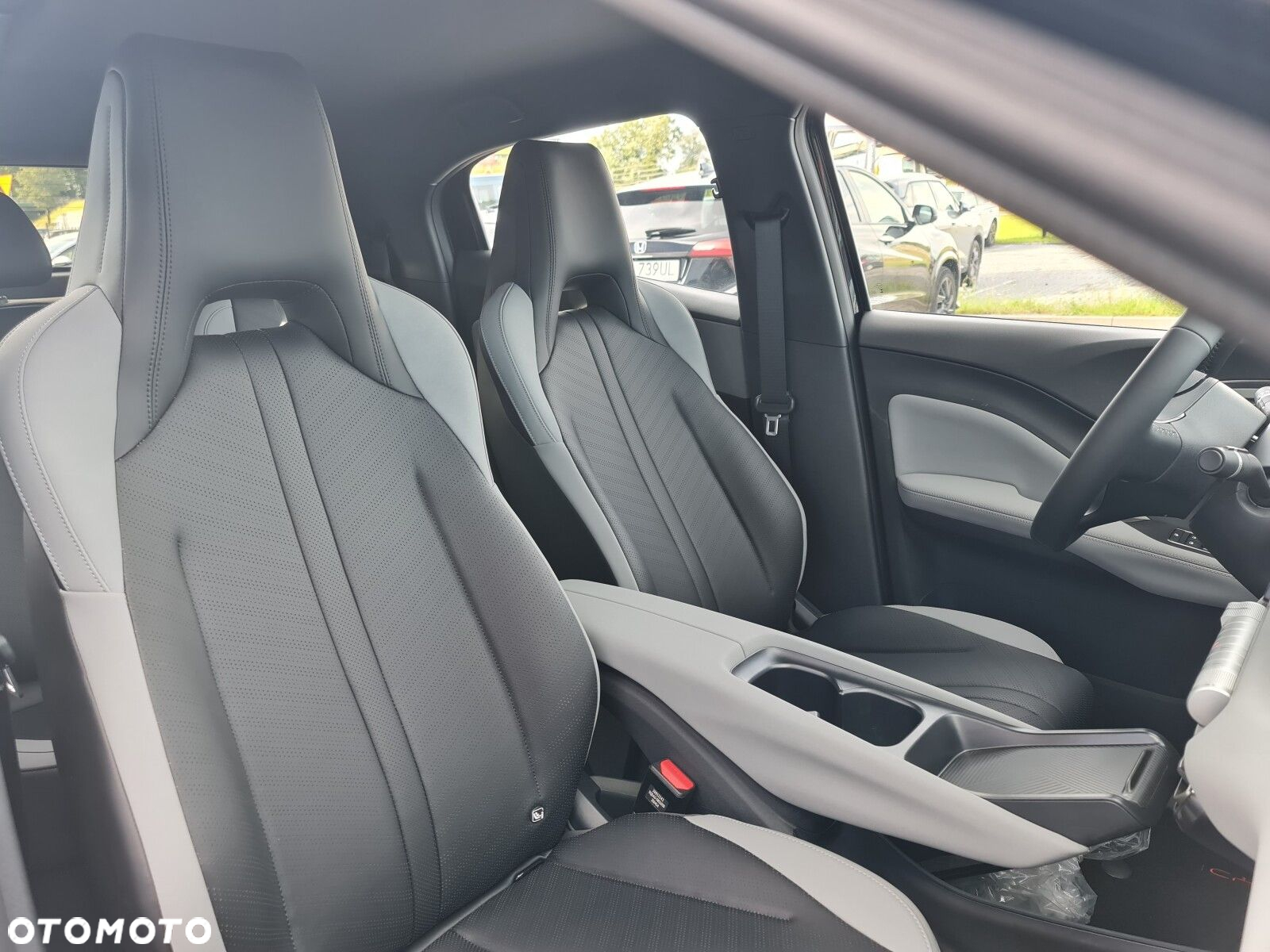 BYD Dolphin Surf - 38