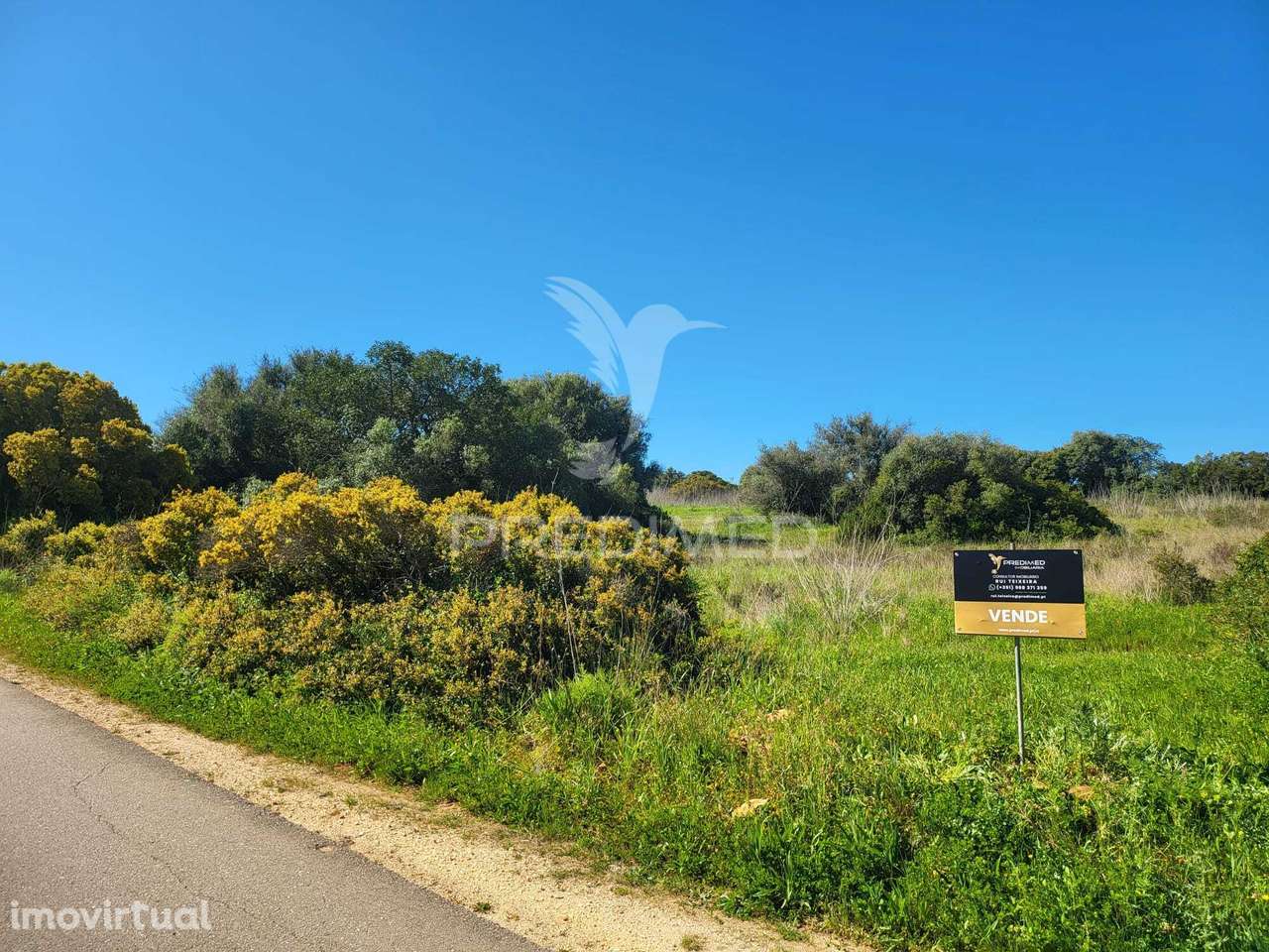 Terreno rústico com ruína - Grande imagem: 2/14