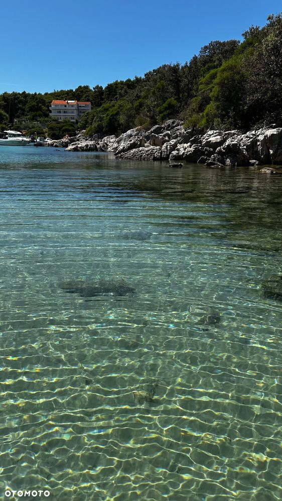 Suzuki SX4 1.9 DDiS 4WD GS / Premium - 1