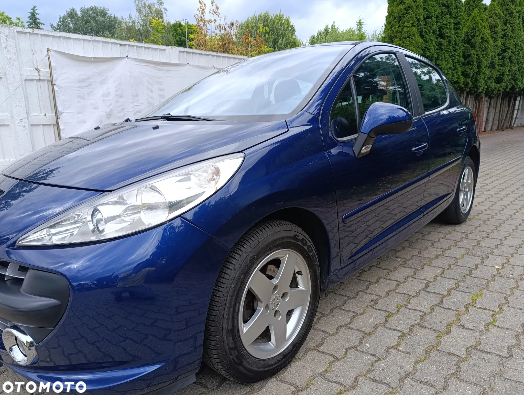 Peugeot 207 - 13