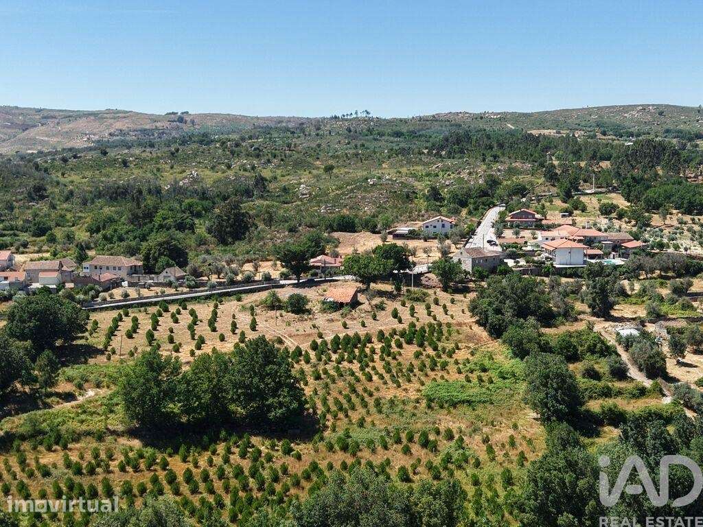 Terreno em Abrunhosa-a-Velha - Grande imagem: 3/13