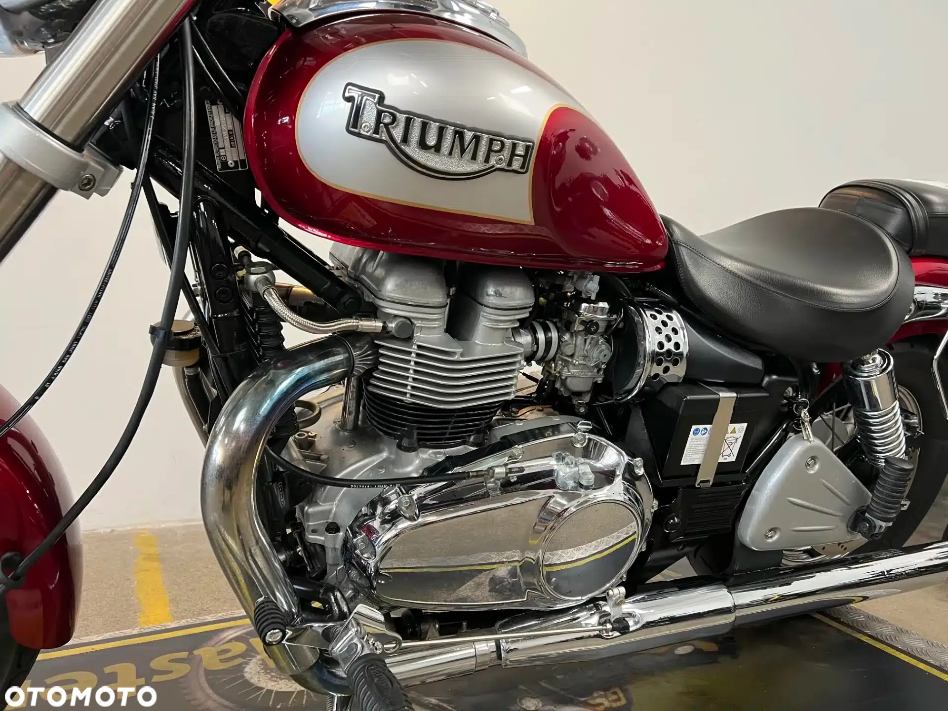 Triumph America - 24